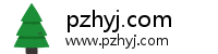 pzhyj.com